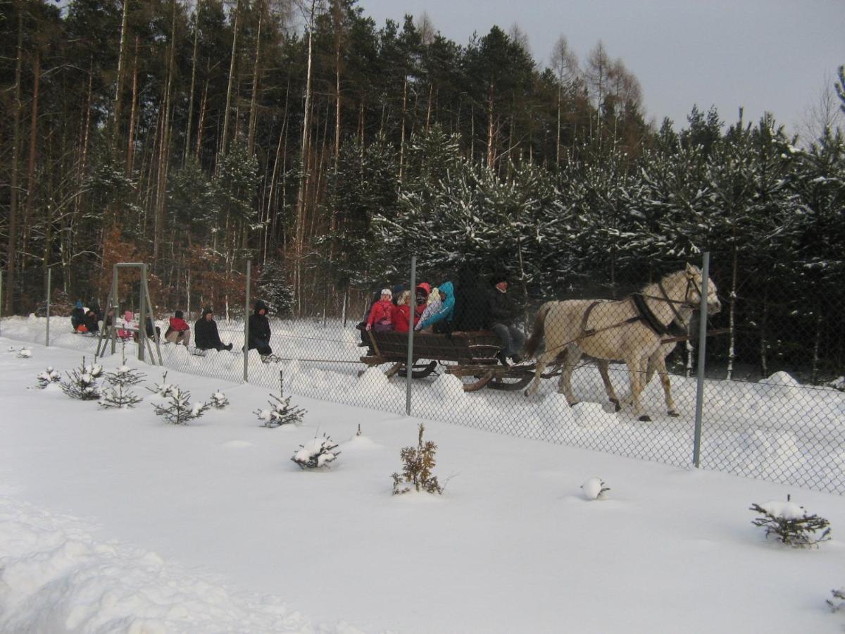 Lesny Dworek Snochowice Exterior foto