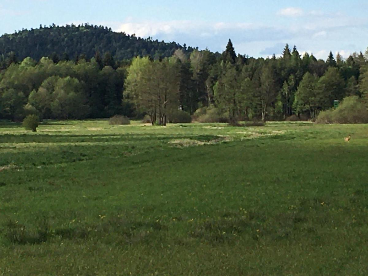 Lesny Dworek Snochowice Exterior foto